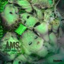 A.M.S. - Fliegenwiese (Original Mix)