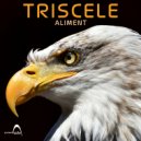Triscele - Sky