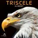 Triscele - Spina