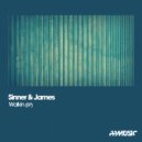 Sinner & James - Disco Darling (Original Mix)