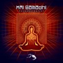 Kri Samadhi - The Comedown (Original Mix)