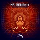 Kri Samadhi - The Comedown