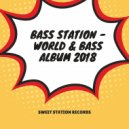 Bass Station - Clasic Flow