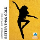 Ahmet Polat & Chara Acikgoz - Better Than Gold (Rob\'s Remix)