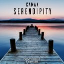 Camak - Serendipity