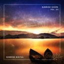 Ron with Leeds - Seven Summits (Original mix)