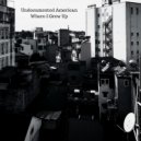 Undocumented American - Multiple Stops (Original Mix)