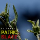 Patrick Slate - Dont Stop (Original mix)