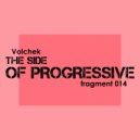 Volchek - The side of progressive 014