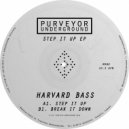 Harvard Bass - Break It Down (Original Mix)