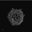 Carl Conky - Macumba (Original Mix)