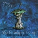 	Tom Vrai - The Beauty of Decay (The Electronic Advance Remix)
