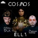 Elly Wild, D.Tarasyuk, Platinum Monkey - Cosmos (DJ Kapral Remix)