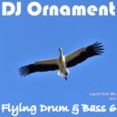 DJ Ornament - Flying Drum & Bass 6 ()