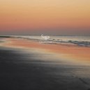 Saga - Shoreline