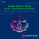 Anton Borin (RU) - Winter Wood (Franco Tejedor Remix)