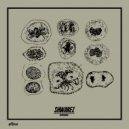 Shwarez - Coelian (Original mix)