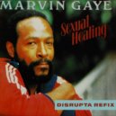 Marvin Gaye - Sexual Healing (Disrupta Refix)