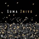 Shuma - Veciarok Vee (Original Mix)