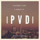 Electronic Fluke - A tribute to Paul van Dyk