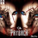 CiM - Payback ()