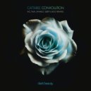 Cattaree - Convolution