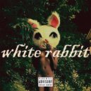 PJ Lucid - White Rabbit (Original Mix)