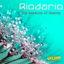 Riodario & Oxymoon - Levitation Experience (feat. Oxymoon) ()