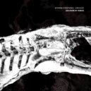 Atonism - Ancient Creatures (Irrational Language Remix)