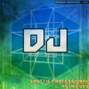 45Thieves & Shottie Professional - DJ (Hip Hip Version)