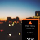 DJ Taus - Perfect