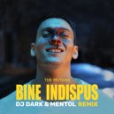 The Motans - Bine Indispus