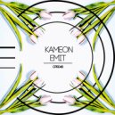 Kamēon - Fame (Nourad Remix)