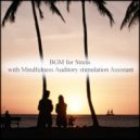 Mindfulness Auditory Stimulation Assistant - Mystery & Peace of Mind