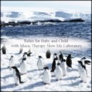 Music Therapy Slow Life Laboratory - Cherry Blossoms & Frustration