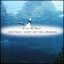 Music Therapy Slow Life Laboratory - Klimt & Refresh
