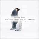 Music Therapy Slow Life Laboratory - Soul & Acoustic (Original Mix)