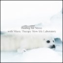 Music Therapy Slow Life Laboratory - Friday & Detox