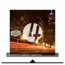 DJ Shindy - Hold You (Instrumental)