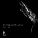 Monoteq & Grisha Gerrus - Feel Like