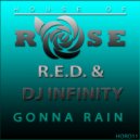 R.E.D. & DJ Infinity - Got Me Crazy Over U (Original Mix)