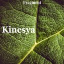 Kinesya - Moonlight
