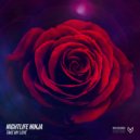 Nightlife Ninja - Take My Love (Radio Edit)