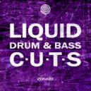 Rotchellett - Purity Control (Radio Edit)