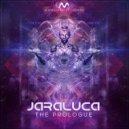 Jaraluca - The Micrograms