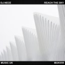 DJ.Nece - Something's Amazing
