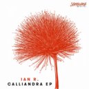 Ian R. - Trialis (Original Mix)