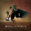 Solarix - Birds On Mars (Original Mix)
