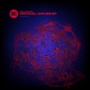 Schiere - Elements