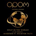 Sy Sez Presents Mindstate feat. His Bitter Truth - What In The World?